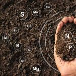 Organic fertilizer production line processing organic fertilizer production process