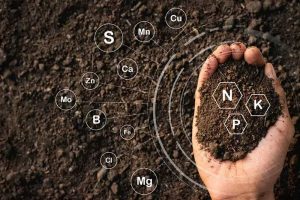 Organic fertilizer production line processing organic fertilizer production process