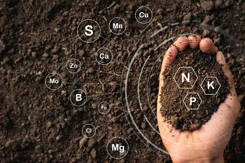 organic compound fertilizer